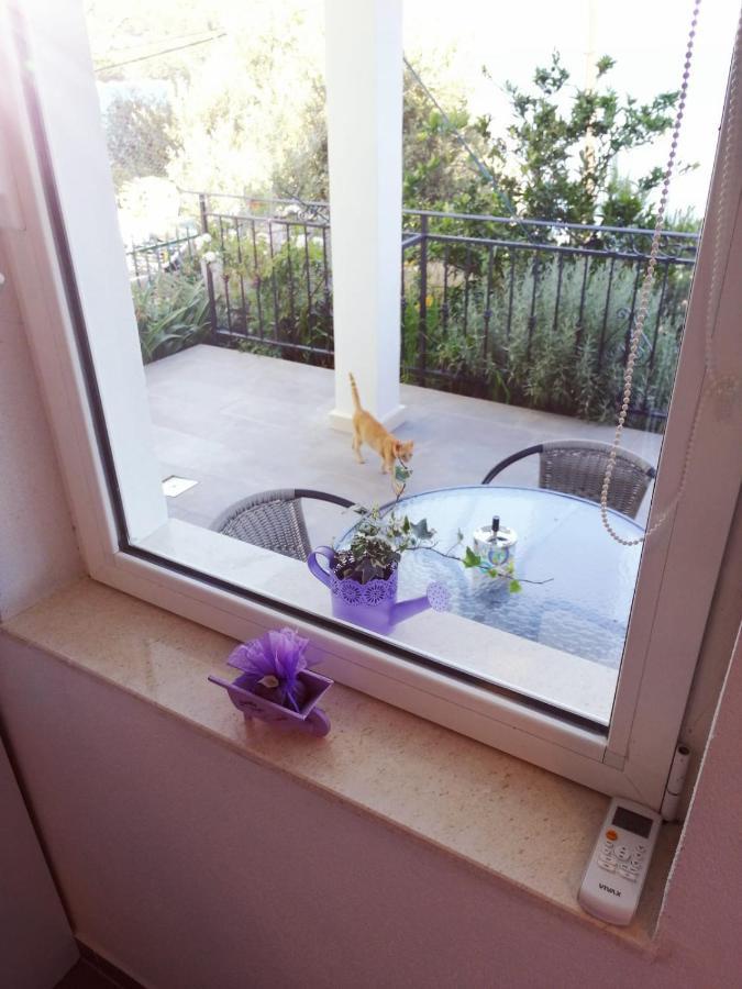 Apartmani Skalinada Marina Dış mekan fotoğraf